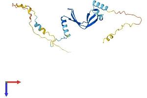 AlphaFold protein structure predicition of Mouse Recombinant Btf3 Protein, UniprotID Q64152