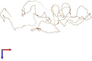 AlphaFold protein structure predicition of Mouse Recombinant Derpc Protein, UniprotID P0CG14
