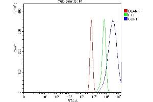 Flow Cytometry analysis of U87 cells using anti-CBR1 antibody (ABIN7600015). (CBR1 anticorps  (AA 14-262))