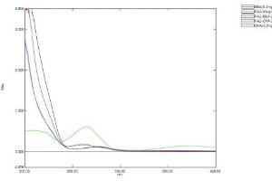 Image no. 1 for Flavin Adenine Dinucleotide (FAD) protein (BSA) (ABIN1880186) (Flavin Adenine Dinucleotide (FAD) protein (BSA))