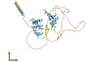 AlphaFold protein structure predicition of Human Recombinant ZNF174 Protein, UniprotID Q15697