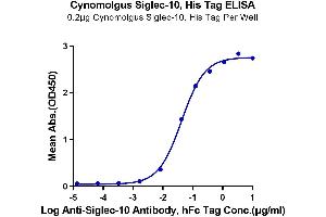 Immobilized Cynomolgus Siglec-10, His Tag at 2 μg/mL (100 μL/well) on the plate.