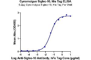 Immobilized Cynomolgus Siglec-10, His Tag at 2 μg/mL (100 μL/well) on the plate. (SIGLEC10 Protein (AA 17-552) (His tag))