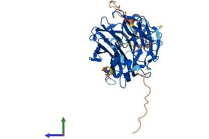 AlphaFold protein structure predicition of Human Recombinant NEU3 Protein, UniprotID Q9UQ49