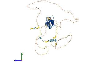 AlphaFold protein structure predicition of Mouse Recombinant Srfbp1 Protein, UniprotID Q9CZ91