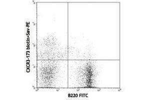 Flow Cytometry (FACS) image for anti-Chemokine (C-X-C Motif) Receptor 3 (CXCR3) antibody (Biotin) (ABIN2660967) (CXCR3 anticorps  (Biotin))