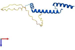 AlphaFold protein structure predicition of Human Recombinant NHLH1 Protein, UniprotID Q02575