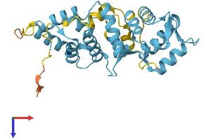 AlphaFold protein structure predicition of Human Recombinant CALB2 Protein, UniprotID P22676