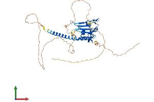 AlphaFold protein structure predicition of Human Recombinant TSPYL5 Protein, UniprotID Q86VY4