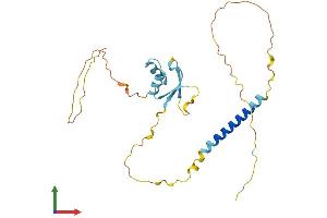 AlphaFold protein structure predicition of Human Recombinant H1-7 Protein, UniprotID Q75WM6