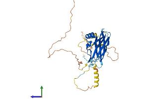 AlphaFold protein structure predicition of Human Recombinant PPP1R3C Protein, UniprotID Q9UQK1