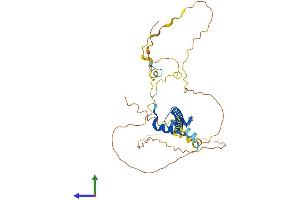 AlphaFold protein structure predicition of Human Recombinant TLX1 Protein, UniprotID P31314