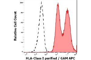 Separation of leukocytes stained using anti-HLA Class I (W6/32) purified antibody (concentration in sample 4 μg/mL, GAM APC, red-filled) from leukocytes unstained by primary antibody (GAM APC, black-dashed) in flow cytometry analysis (surface staining). (MICA anticorps)