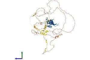 AlphaFold protein structure predicition of Human Recombinant FOXC1 Protein, UniprotID Q12948