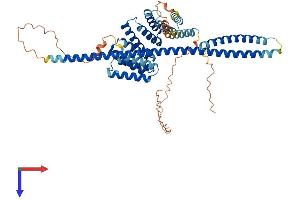 AlphaFold protein structure predicition of Mouse Recombinant Klc3 Protein, UniprotID Q91W40