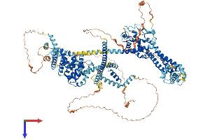 AlphaFold protein structure predicition of Human Recombinant DIAPH3 Protein, UniprotID Q9NSV4
