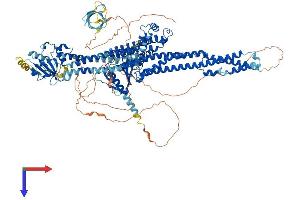 AlphaFold protein structure predicition of Mouse Recombinant Mcf2l Protein, UniprotID Q64096