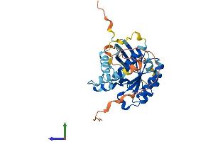 AlphaFold protein structure predicition of Mouse Recombinant Rab40c Protein, UniprotID Q8VHQ4