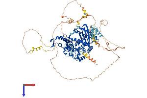 AlphaFold protein structure predicition of Human Recombinant POLK Protein, UniprotID Q9UBT6