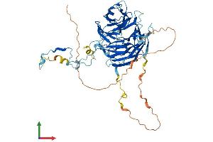 AlphaFold protein structure predicition of Mouse Recombinant Rbbp5 Protein, UniprotID Q8BX09