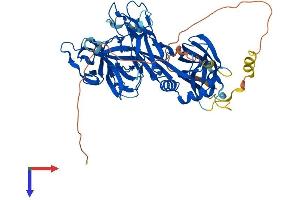 AlphaFold protein structure predicition of Mouse Recombinant Rbpj Protein, UniprotID P31266