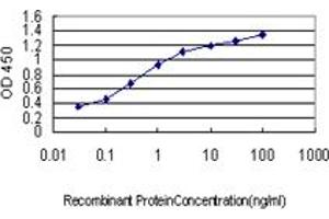 Detection limit for recombinant GST tagged USP31 is approximately 0.