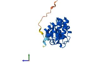 AlphaFold protein structure predicition of Human Recombinant DUSP18 Protein, UniprotID Q8NEJ0