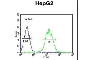 SFRS16 Antibody (Center) (ABIN651544 and ABIN2840292) flow cytometric analysis of HepG2 cells (right histogram) compared to a negative control cell (left histogram). (SFRS16 anticorps  (AA 254-283))