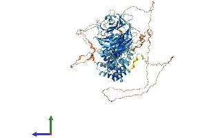 AlphaFold protein structure predicition of Mouse Recombinant Sec31b Protein, UniprotID Q3TZ89
