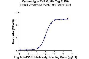 Immobilized Cynomolgus PVRIG, His Tag at 0. (PVRIG Protein (AA 41-171) (His tag))