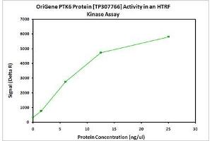 Bioactivity measured with Activity Assay