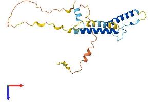 AlphaFold protein structure predicition of Human Recombinant HAND2 Protein, UniprotID P61296