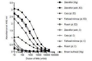 ELISA image for anti-Vitellogenin (VTG) antibody (ABIN123822) (Vitellogenin anticorps)