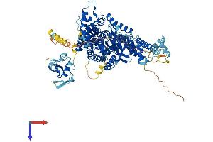 AlphaFold protein structure predicition of Human Recombinant THAP12 Protein, UniprotID O43422