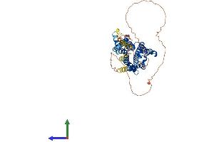 AlphaFold protein structure predicition of Human Recombinant CHRM2 Protein, UniprotID P08172