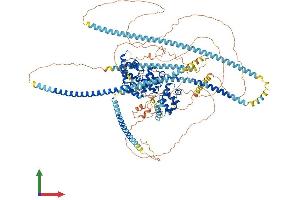 AlphaFold protein structure predicition of Human Recombinant PPFIA4 Protein, UniprotID O75335