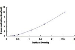 Typical standard curve (MELK Kit ELISA)
