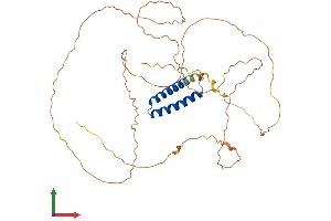 AlphaFold protein structure predicition of Human Recombinant SS18L1 Protein, UniprotID O75177