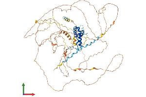AlphaFold protein structure predicition of Mouse Recombinant Sox30 Protein, UniprotID Q8CGW4