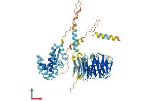 AlphaFold protein structure predicition of Mouse Recombinant Taf5l Protein, UniprotID Q91WQ5