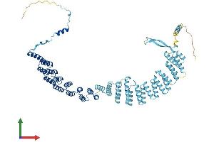 AlphaFold protein structure predicition of Mouse Recombinant Crnkl1 Protein, UniprotID P63154