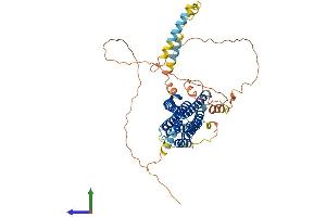 AlphaFold protein structure predicition of Human Recombinant FAM114A2 Protein, UniprotID Q9NRY5