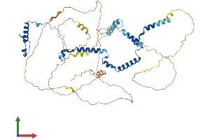 AlphaFold protein structure predicition of Human Recombinant PHACTR1 Protein, UniprotID Q9C0D0