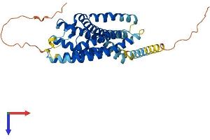 AlphaFold protein structure predicition of Mouse Recombinant Cxcr4 Protein, UniprotID P70658