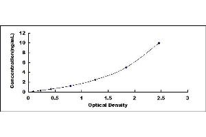 Typical standard curve (GRIA2 Kit ELISA)
