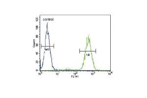 SLC25A37 Antibody (C-term) (ABIN653670 and ABIN2843002) flow cytometric analysis of MDA-M cells (right histogram) compared to a negative control cell (left histogram).