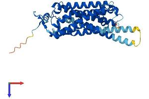 AlphaFold protein structure predicition of Human Recombinant TAAR9 Protein, UniprotID Q96RI9