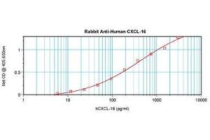 Image no. 2 for anti-Chemokine (C-X-C Motif) Ligand 16 (CXCL16) antibody (ABIN1497687)