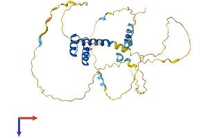 AlphaFold protein structure predicition of Human Recombinant RAX Protein, UniprotID Q9Y2V3