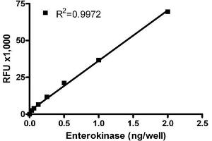 ELISA image for SensoLyte® 520 Enterokinase Assay Kit (ABIN1882456)